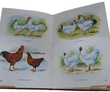 Barnbok - 3
