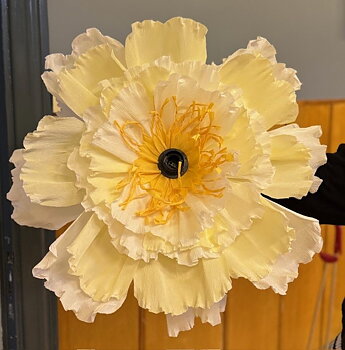 Kit Blomlampa Vanilla Cloud