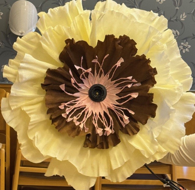 Kit Blomlampa Soft Sunrise