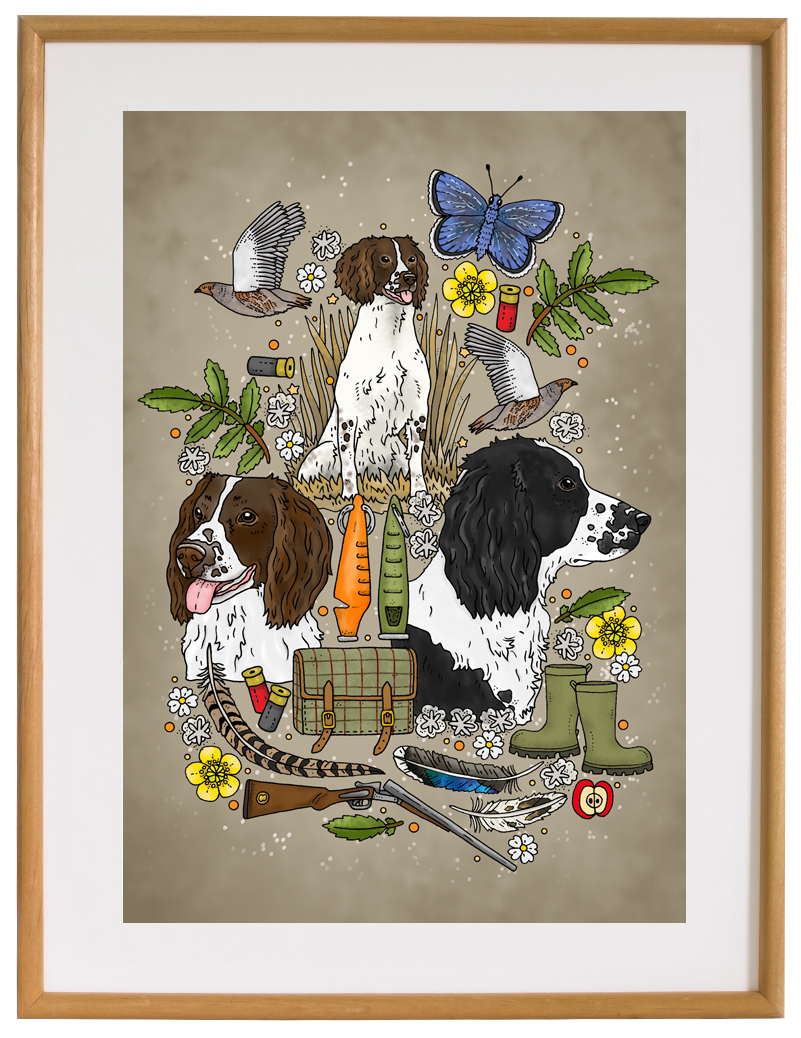 Affisch Engelsk springer spaniel, 30x40 cm