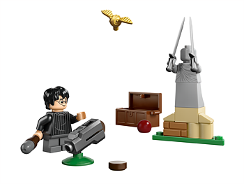 Lego® Harry Potter Tm Quidditchlektion 30706