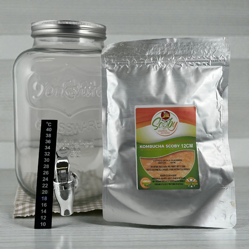 Kombucha Startkit med Glasbeholder og SCOBY – 4,1 L