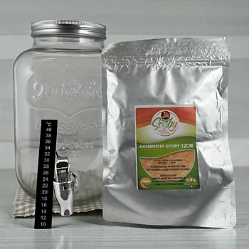 Kombucha Startkit med Glasbeholder og SCOBY – 4,1 L