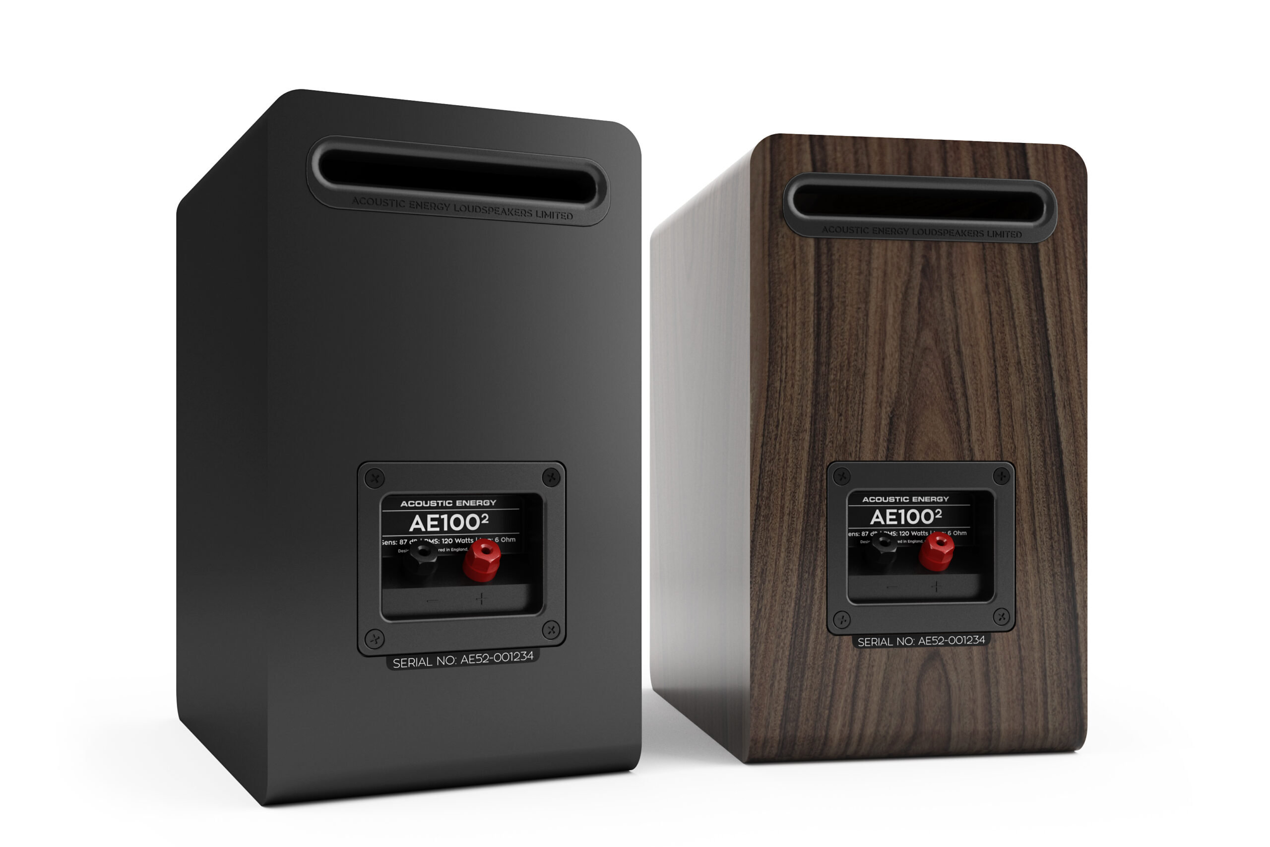 Acoustic Energy AE100.2 stativhögtalare - 2