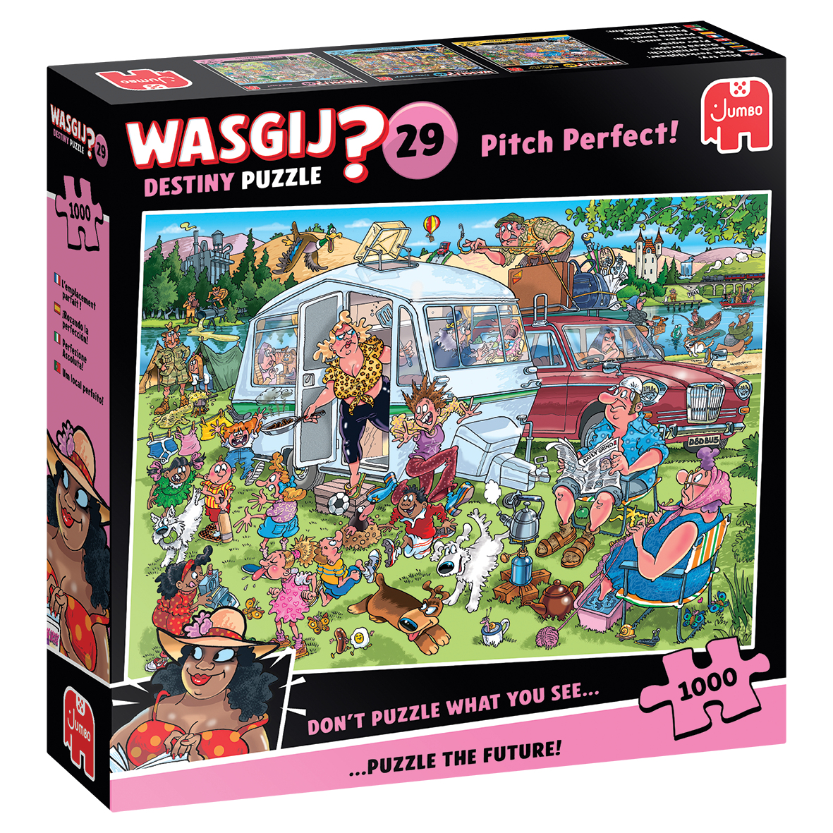 Wasgij Destiny 29 - Pitch Perfect! 1000 bitar