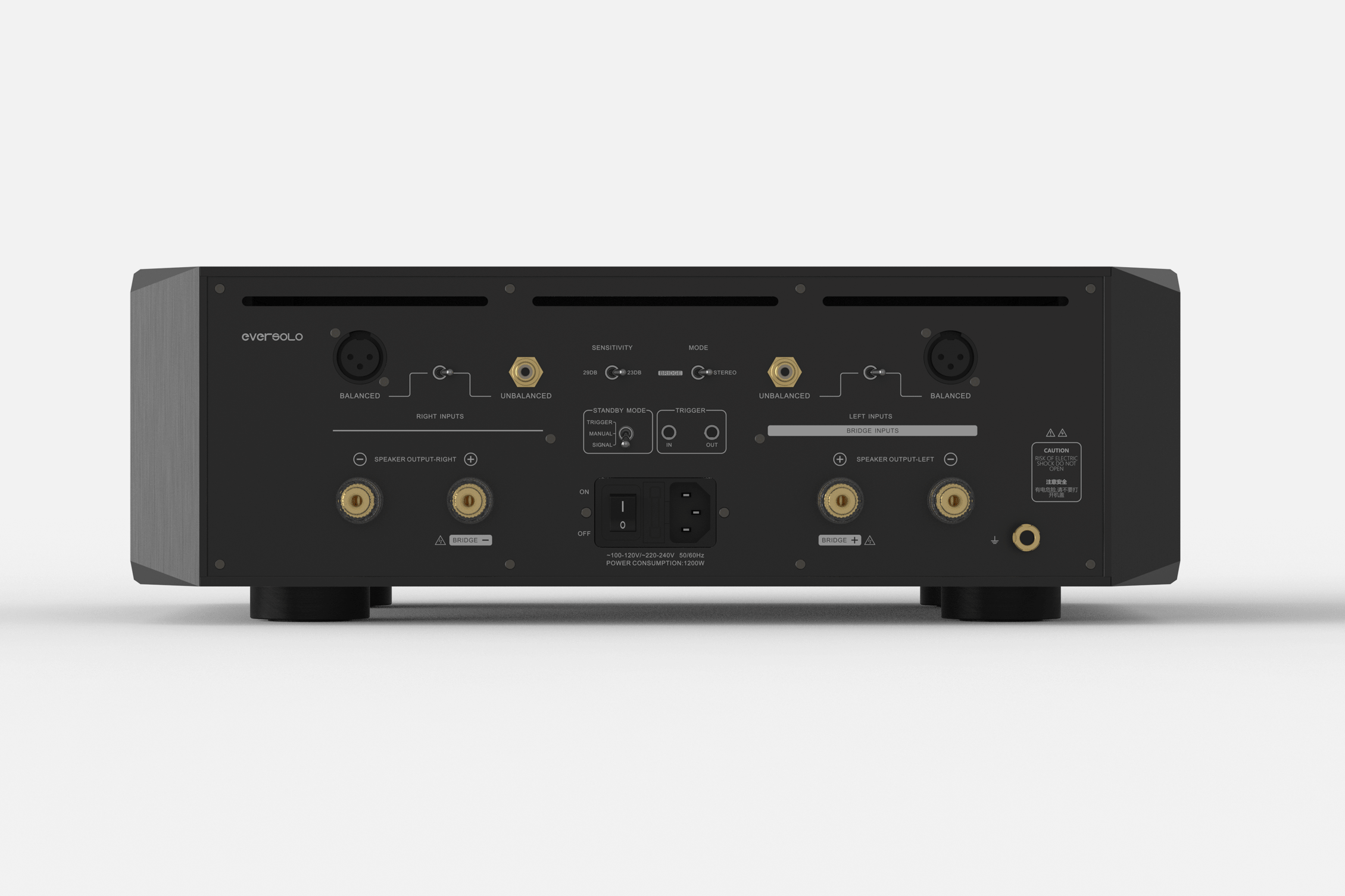 Eversolo AMP F10 Slusteg - 4