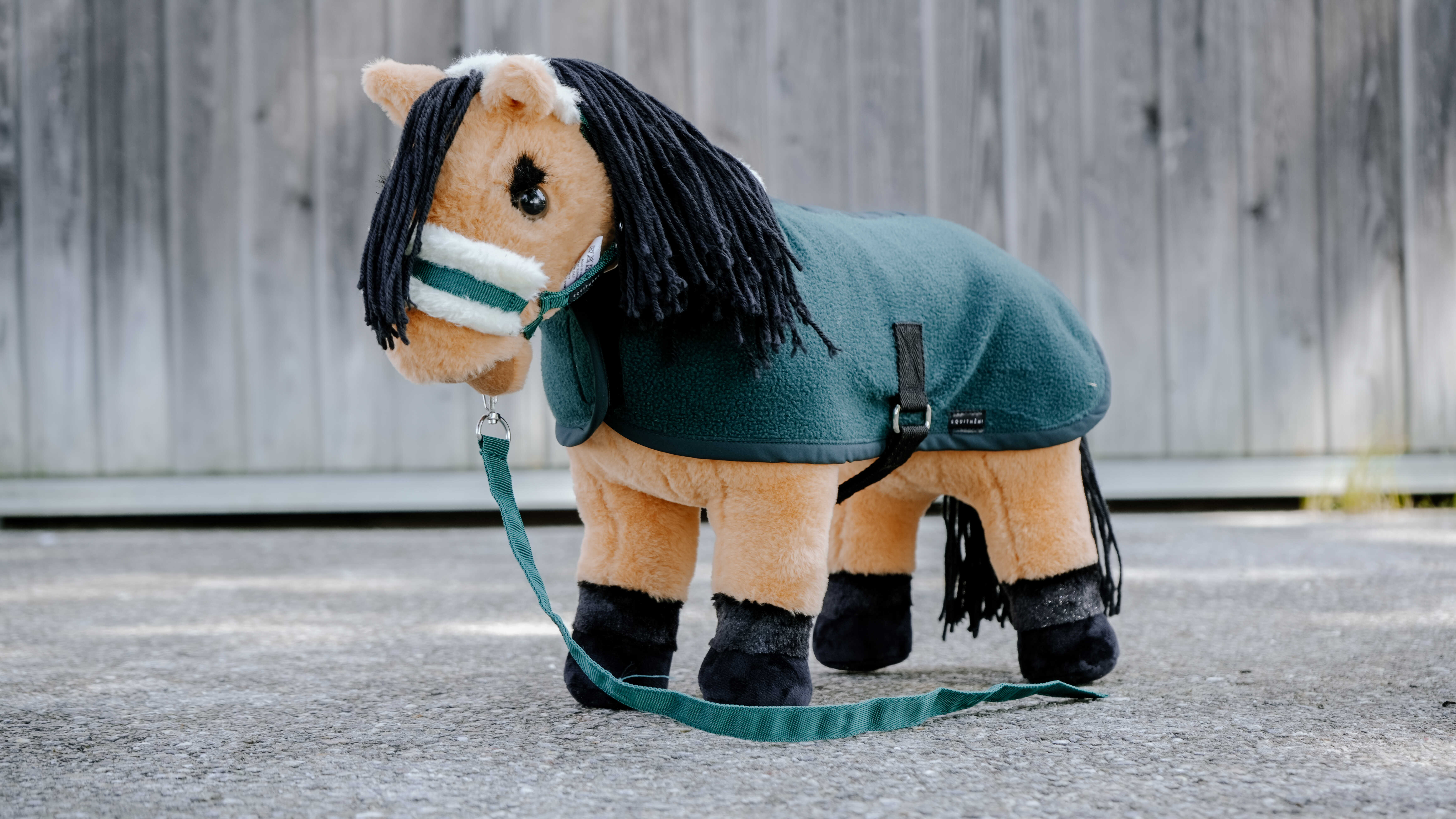 EQUITHEME Mini Rug PONY ACADEMY - Dark green - 2