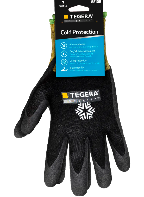 TEGERA Infinity 8810R