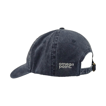 Stentvättad dad cap - Navy