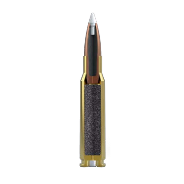Nosler Trophy Grade TGA 308 Win 165g AB SP - 2