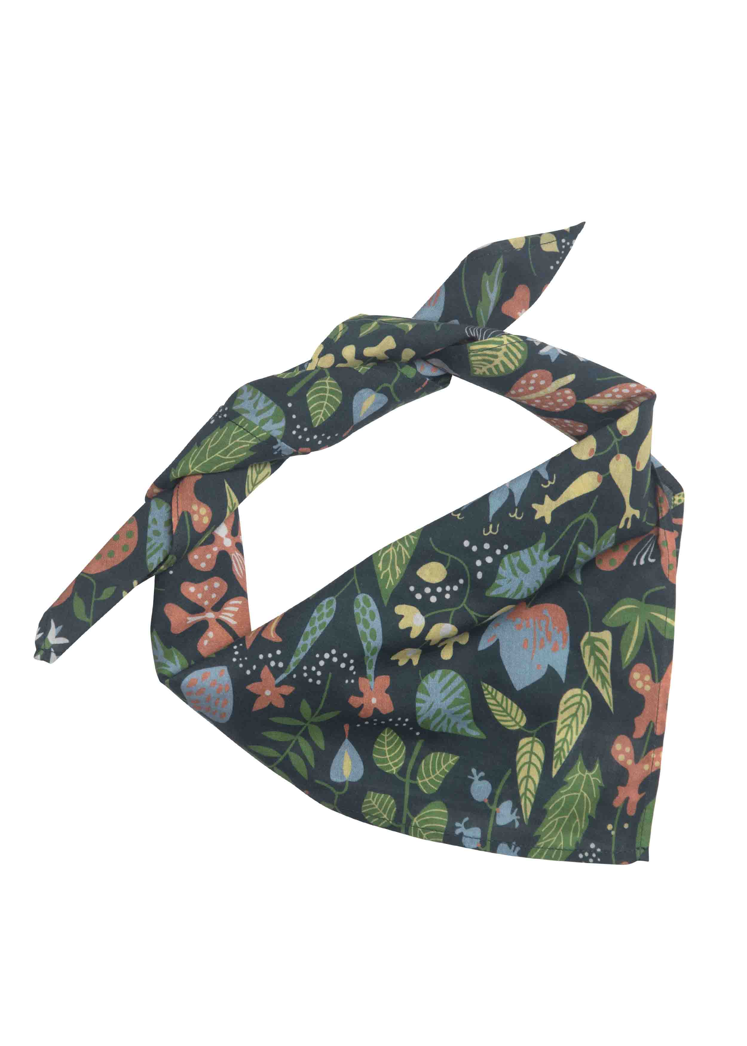 SCARF STIG L. HERBARIUM - 3