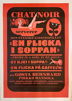  EN FLICKA I SOPPAN – CHAT NOIR