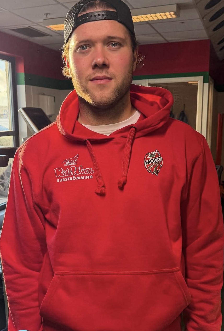 Birchwood hoodie 2025