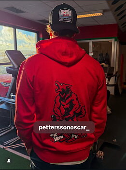 Björkhuggar hoodie 2025