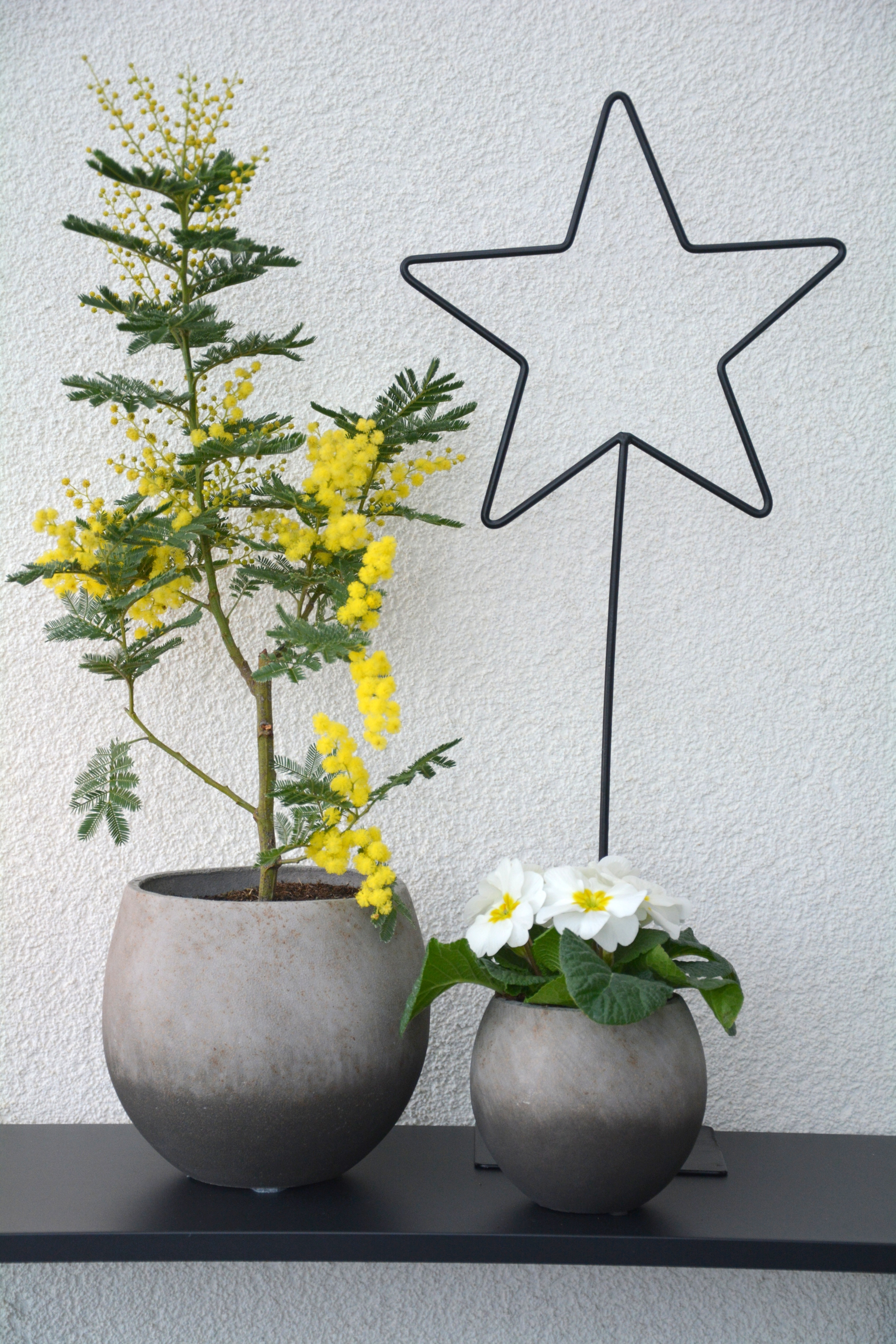 Svart stjärna på fot i metall 61 cm