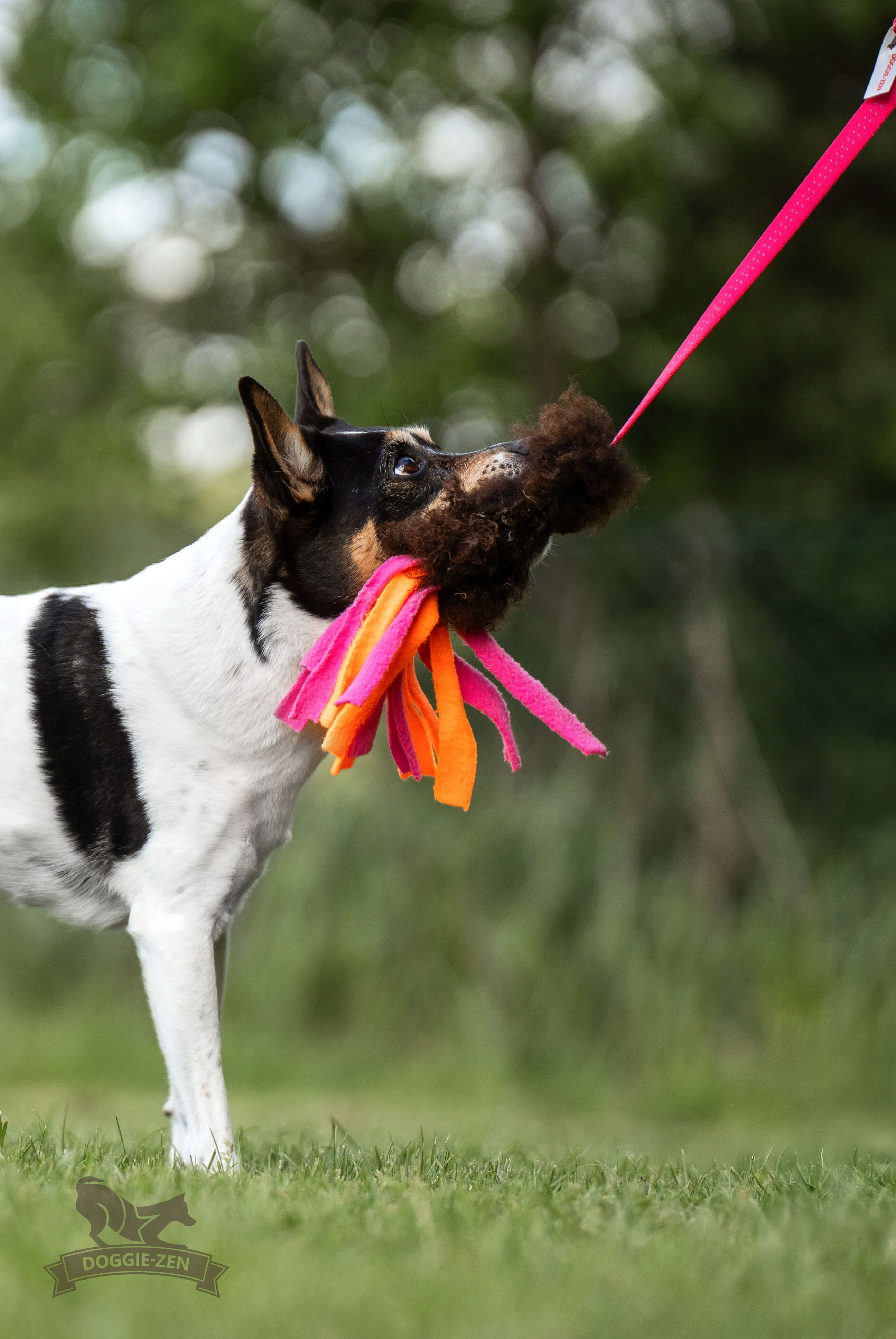 Bungee Sheepskin Chaser Tug S with Fleece Tails - 2