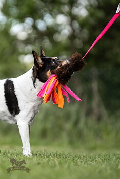 Bungee Sheepskin Chaser Tug S with Fleece Tails