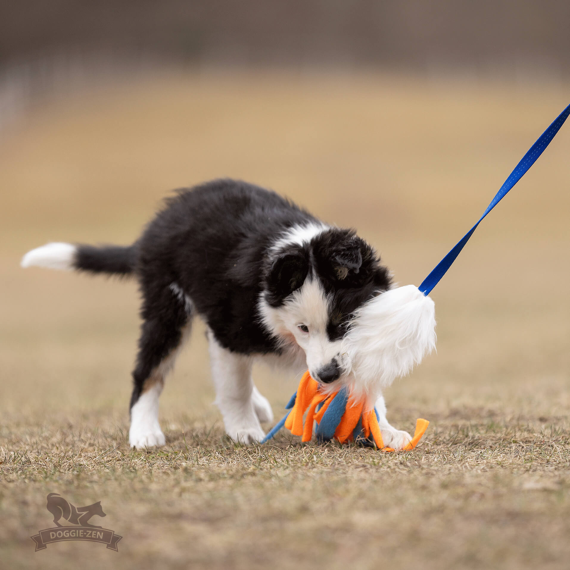 Bungee Sheepskin Chaser Tug S with Fleece Tails - 5