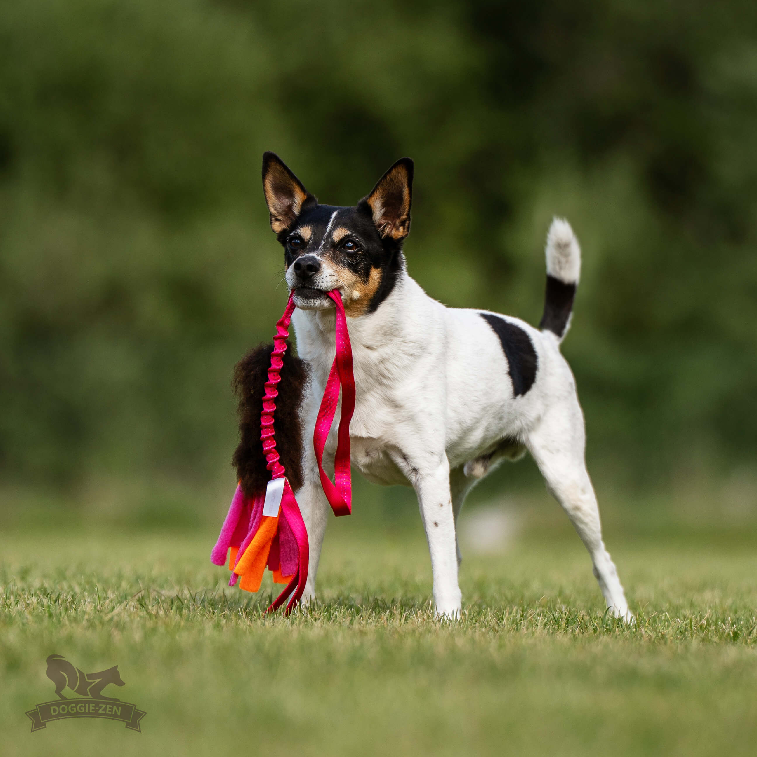 Bungee Sheepskin Chaser Tug S with Fleece Tails - 4