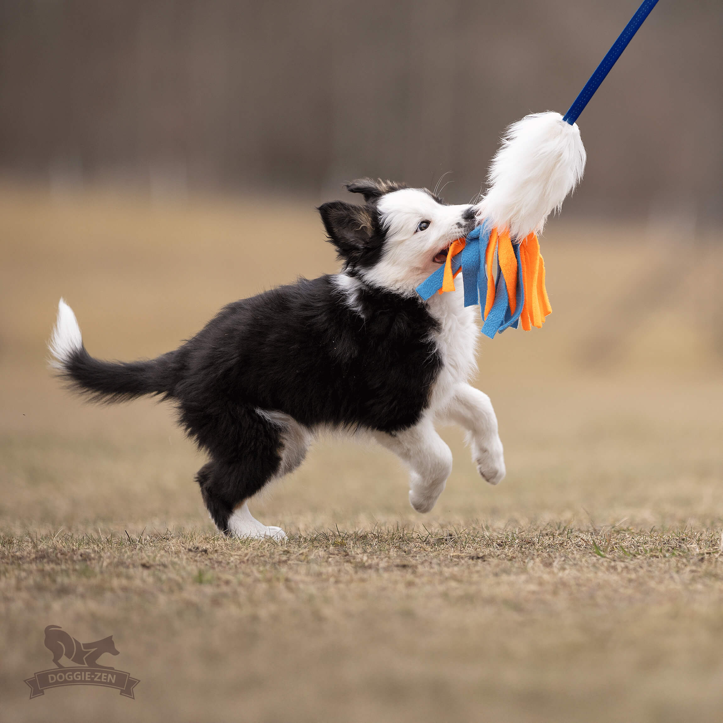 Bungee Sheepskin Chaser Tug S with Fleece Tails - 6