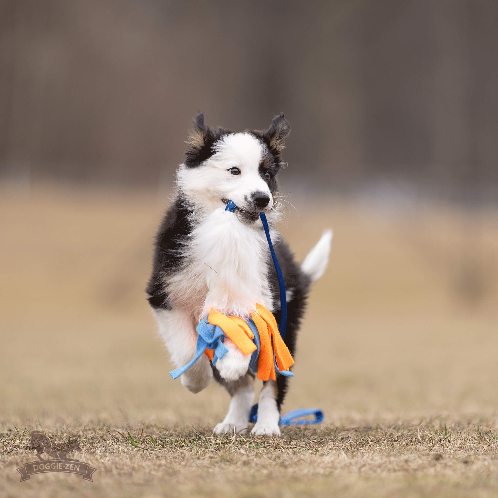 Bungee Sheepskin Chaser Tug S with Fleece Tails - 3