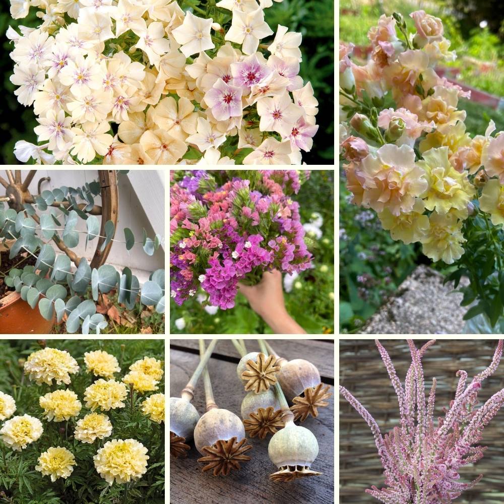 Fröpaket - Det stora blompaketet
