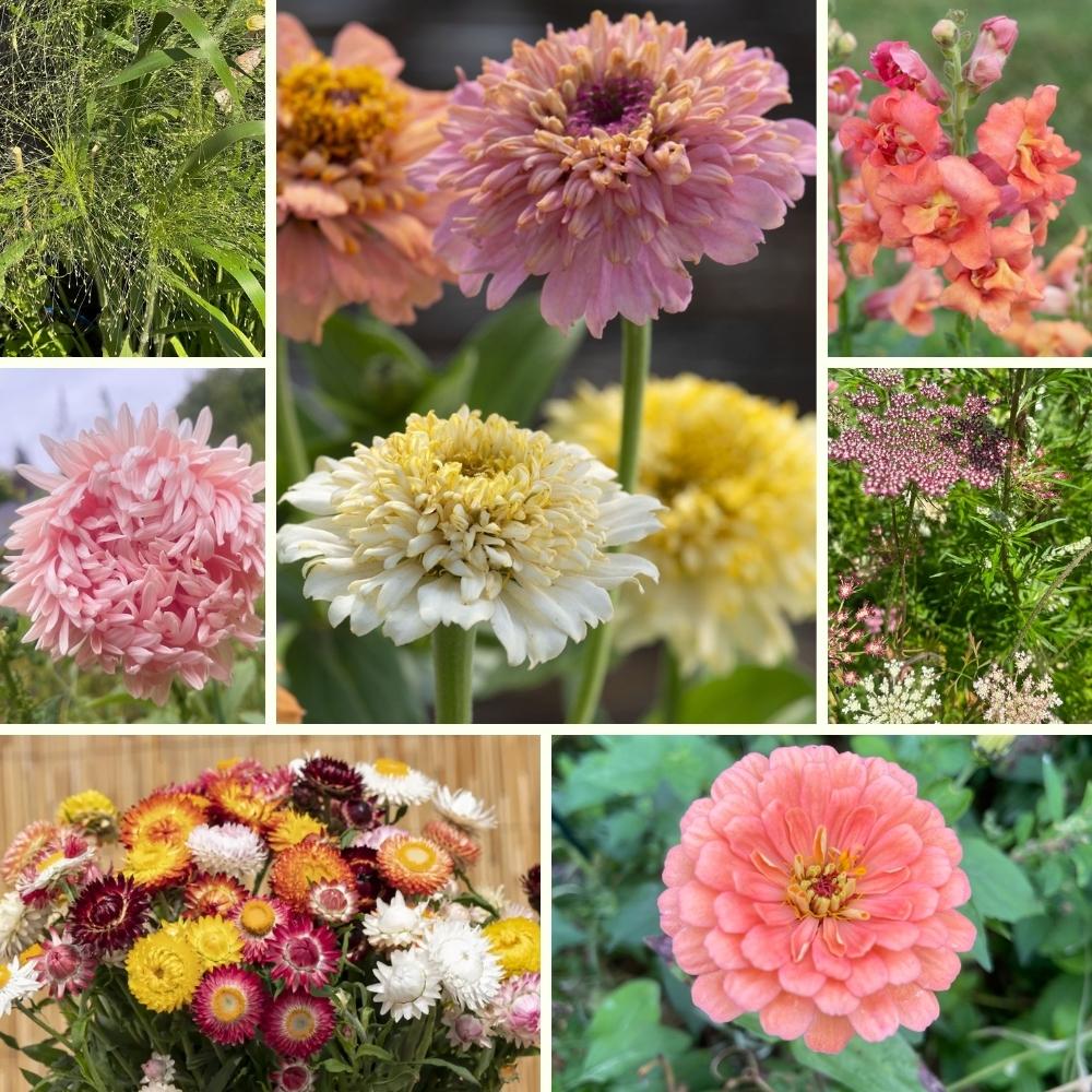 Fröpaket - Det stora blompaketet