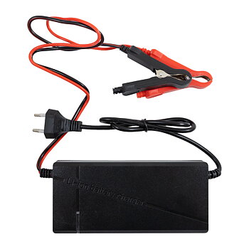 Tipsun Lifepo4 batteriladdare 12V (Litium)