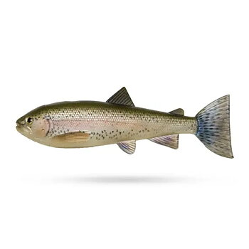 Pulz Bait Skinz 2pcs 15cm