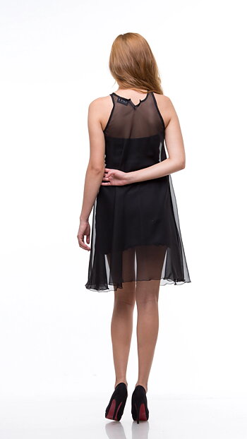 Little black dress transparent 13