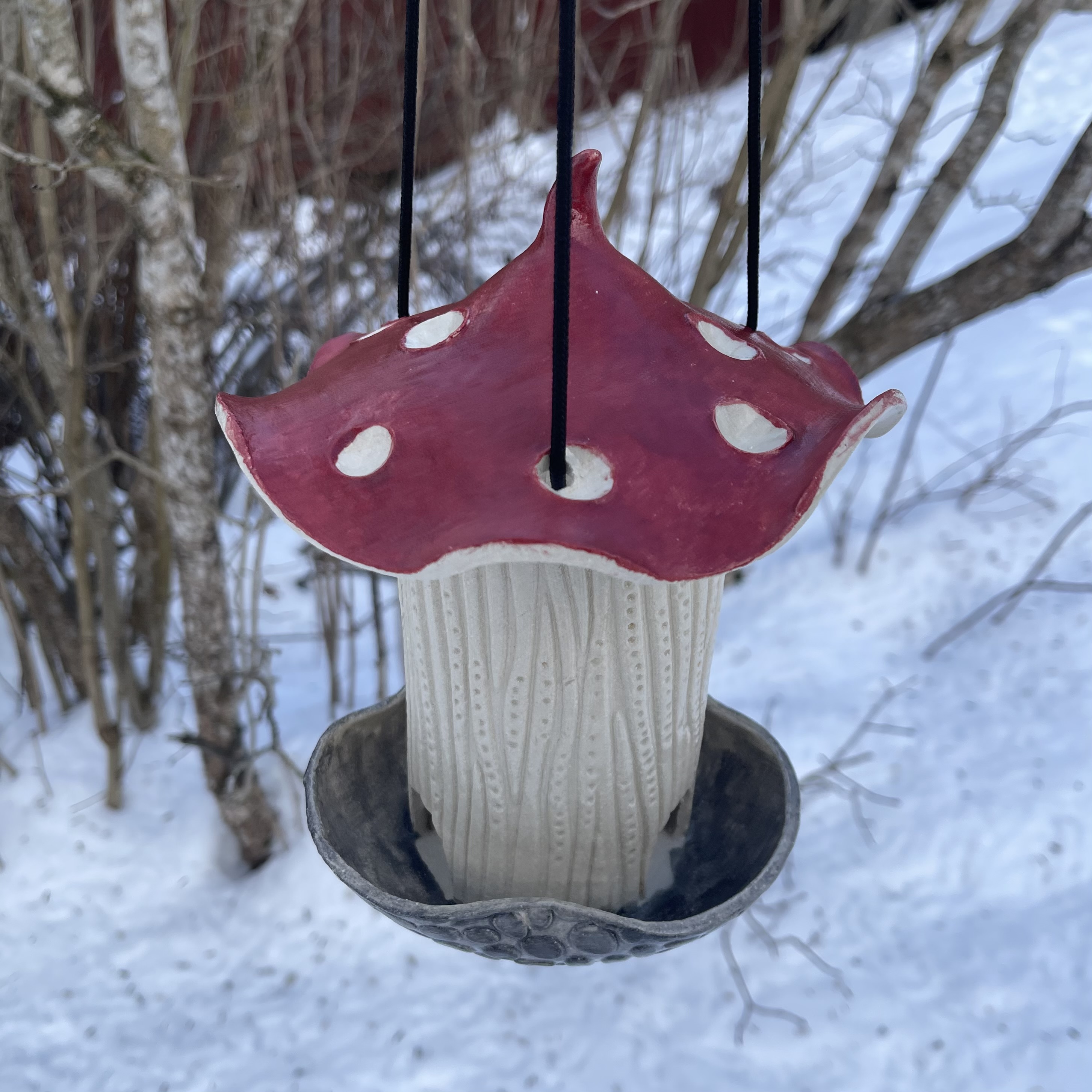 Fuglemater Sopp - 3