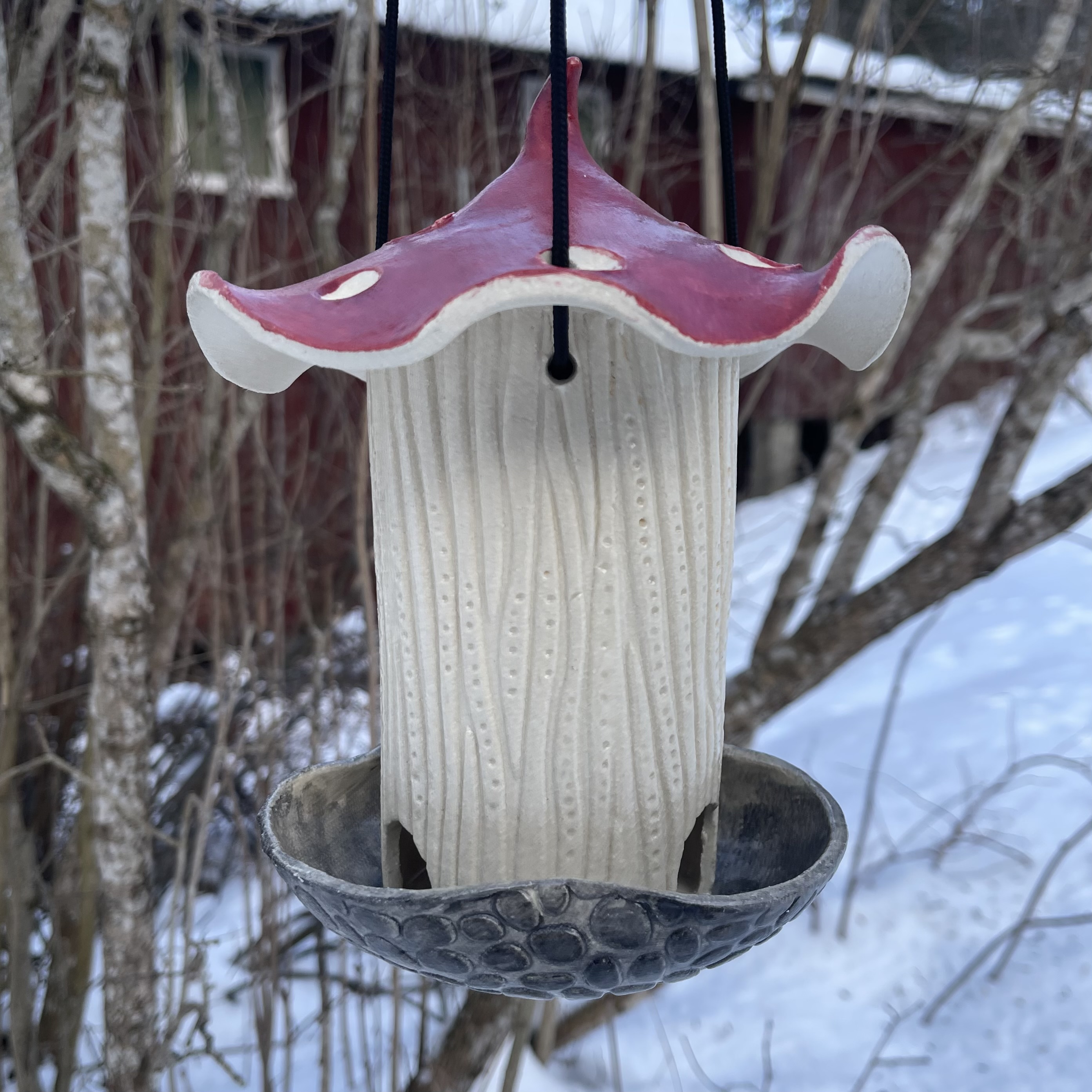 Fuglemater Sopp - 2