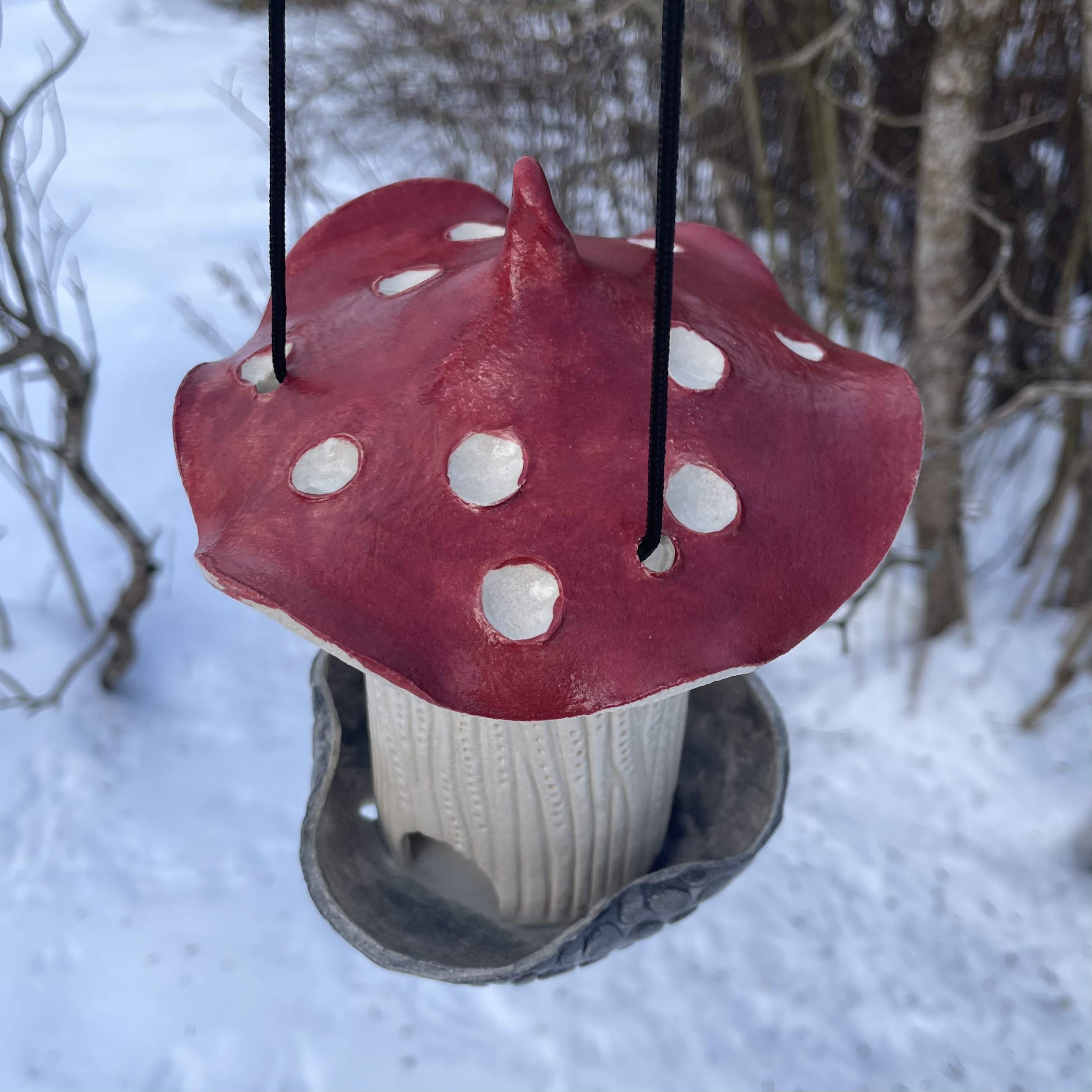 Fuglemater Sopp - 4