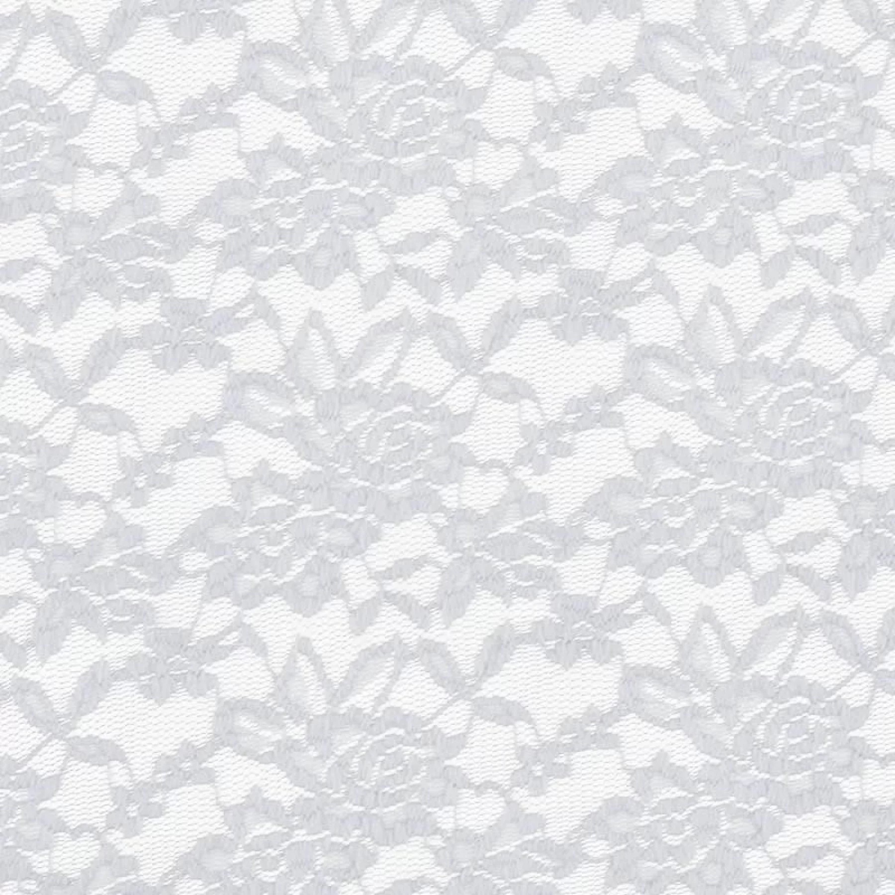 STRETCH LACE - WHITE