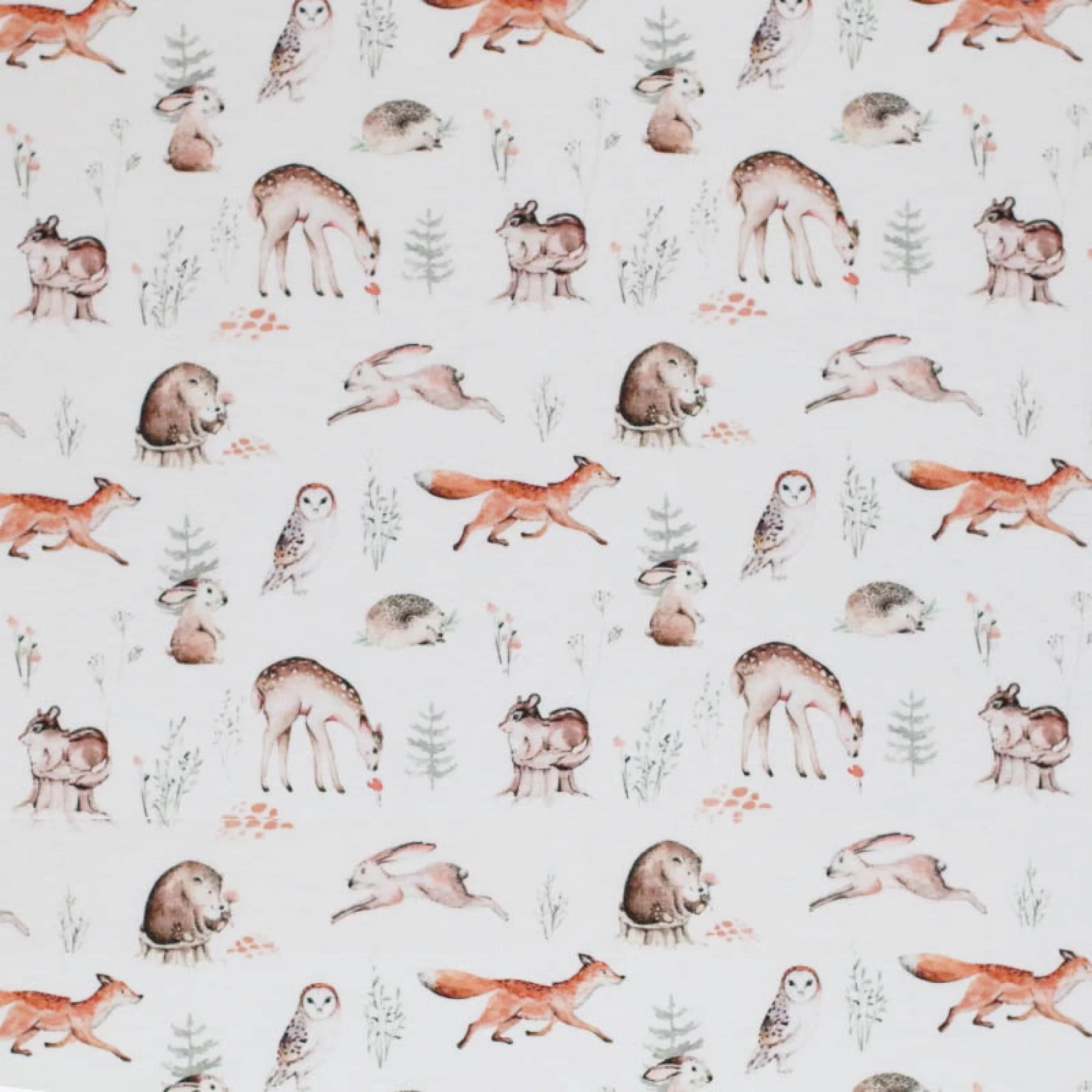FOREST ANIMALS