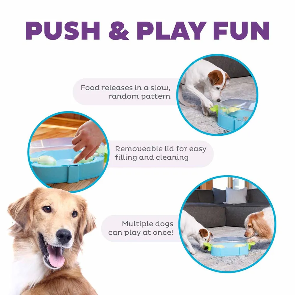 Nina Ottosson Oh Paw N' Play - Hundespielzeug - Aktivierungsspielzeug - Mentale und körperliche Stimulation - Hundepuzzle