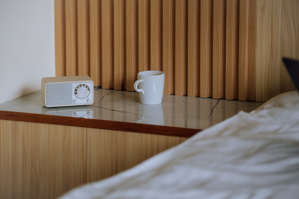 Sangean WR7 Moonlight oak BT - 3