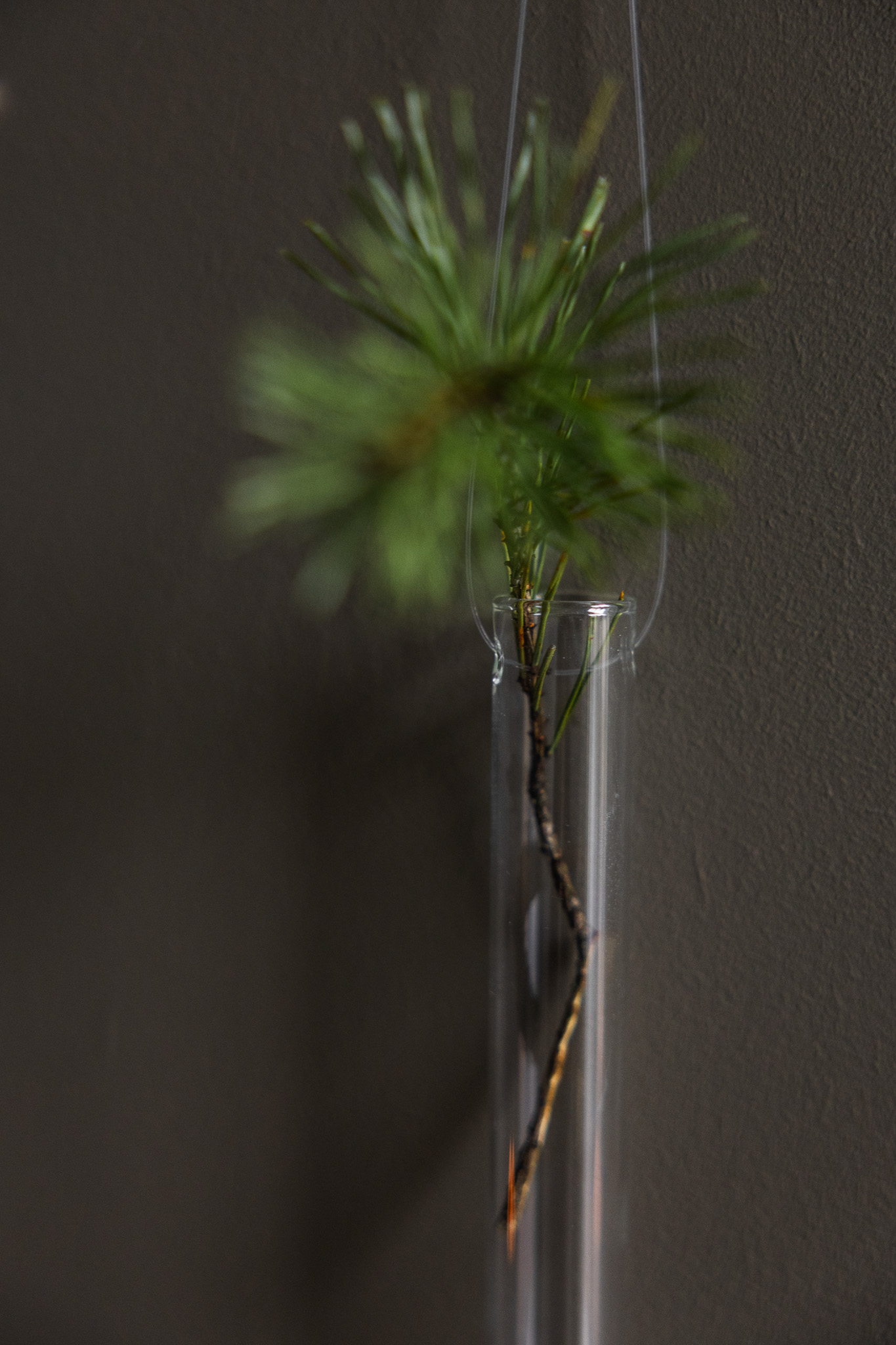 Glasvas - Hängvas - 2x26 cm - 6