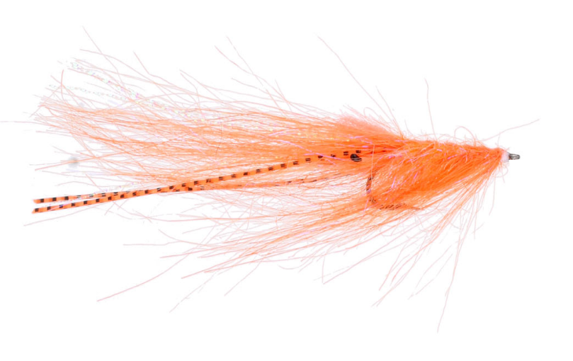 W - Pattegrisen Orange #6