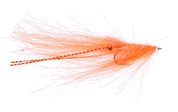 W - Pattegrisen Orange #6