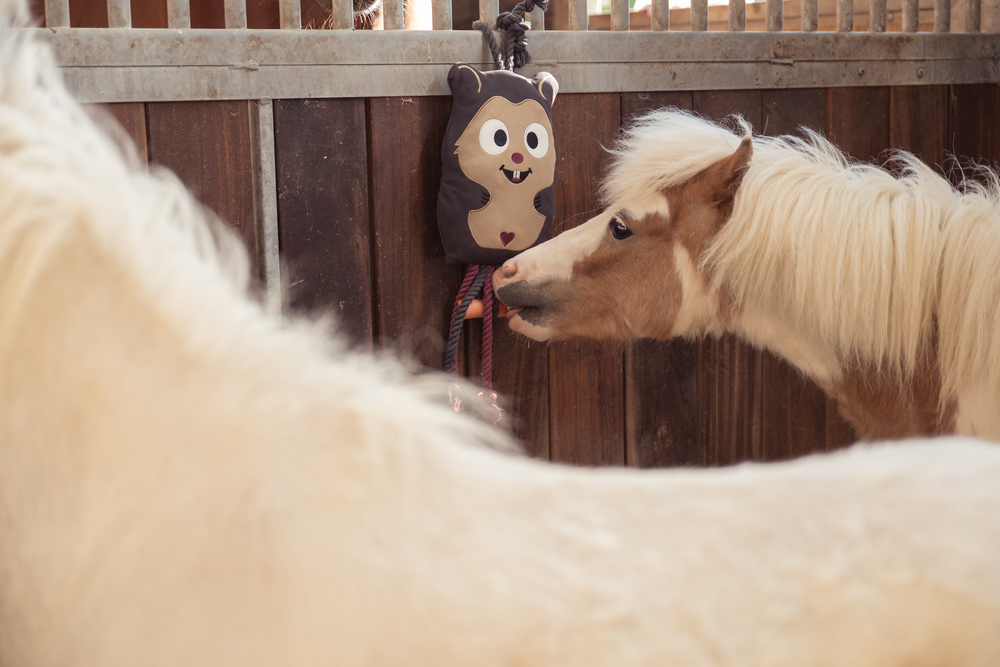 Eskadron Heritage 25/26 Hamster Horse Toy – Black Truffle – enrichment