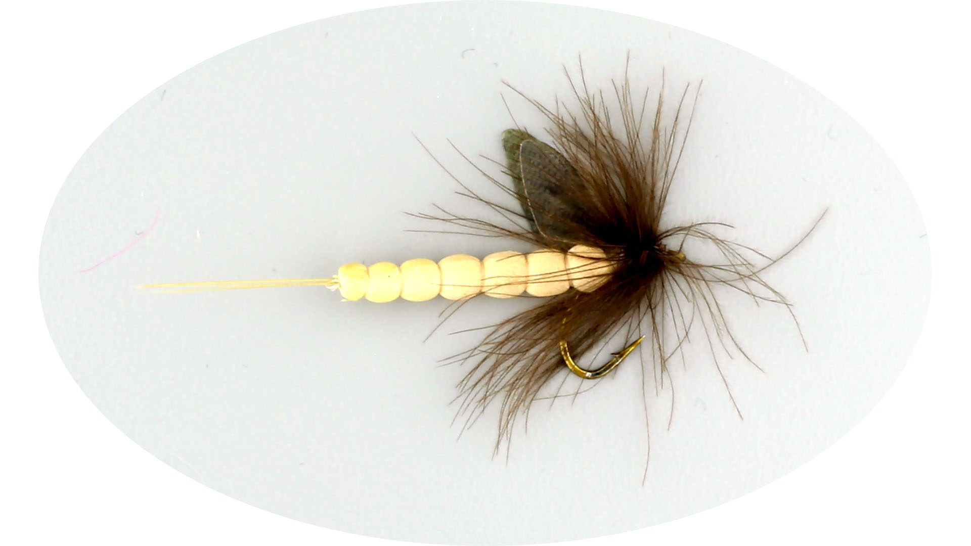 W - Vulgata White #10