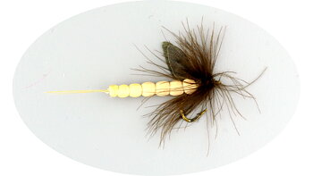 W - Vulgata White #10