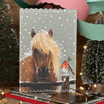 Christmas Card Alex Clark Horse Motif Horse & Robin 5-pack
