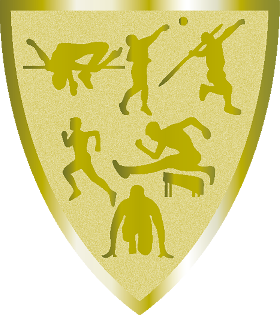 Statyett Skölden 140 mm hög - Guld, Silver och Brons - 21