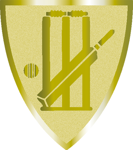 Statyett Skölden 140 mm hög - Guld, Silver och Brons - 7