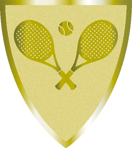 Statyett Skölden 140 mm hög - Guld, Silver och Brons - 19