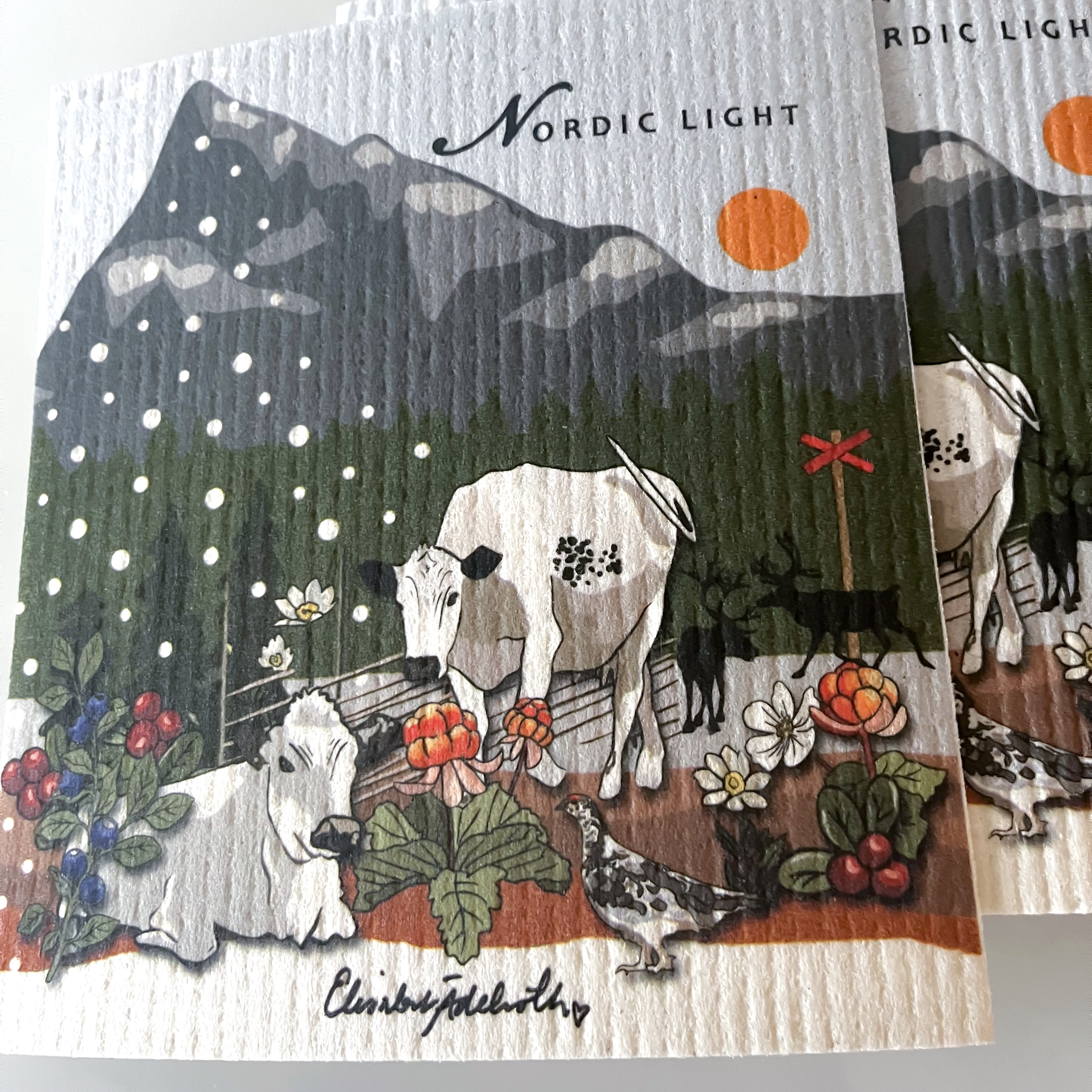 Disktrasa med motiv,  ”Nordic light ”