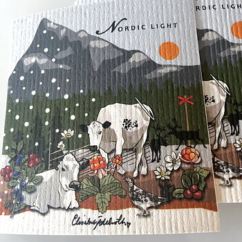 Disktrasa med motiv,  ”Nordic light ”