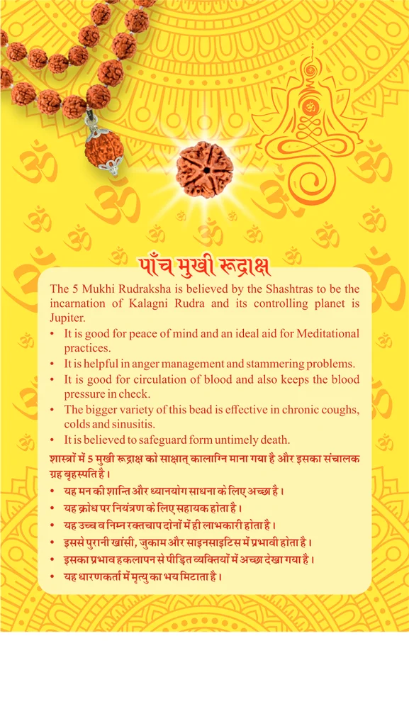Rudraksha Enkel 5 Mukhi med krok - Naturlig - 2
